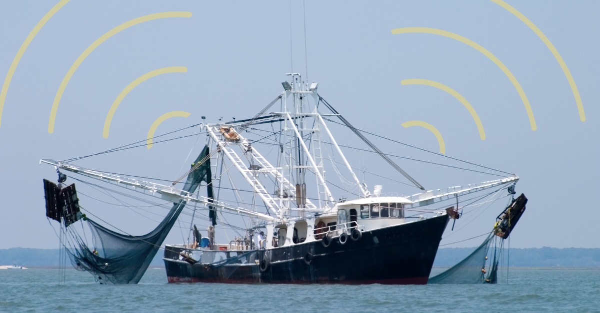 Featured image for “Pesca sostenibile e trasparente: il ruolo della blockchain nella tracciabilità”