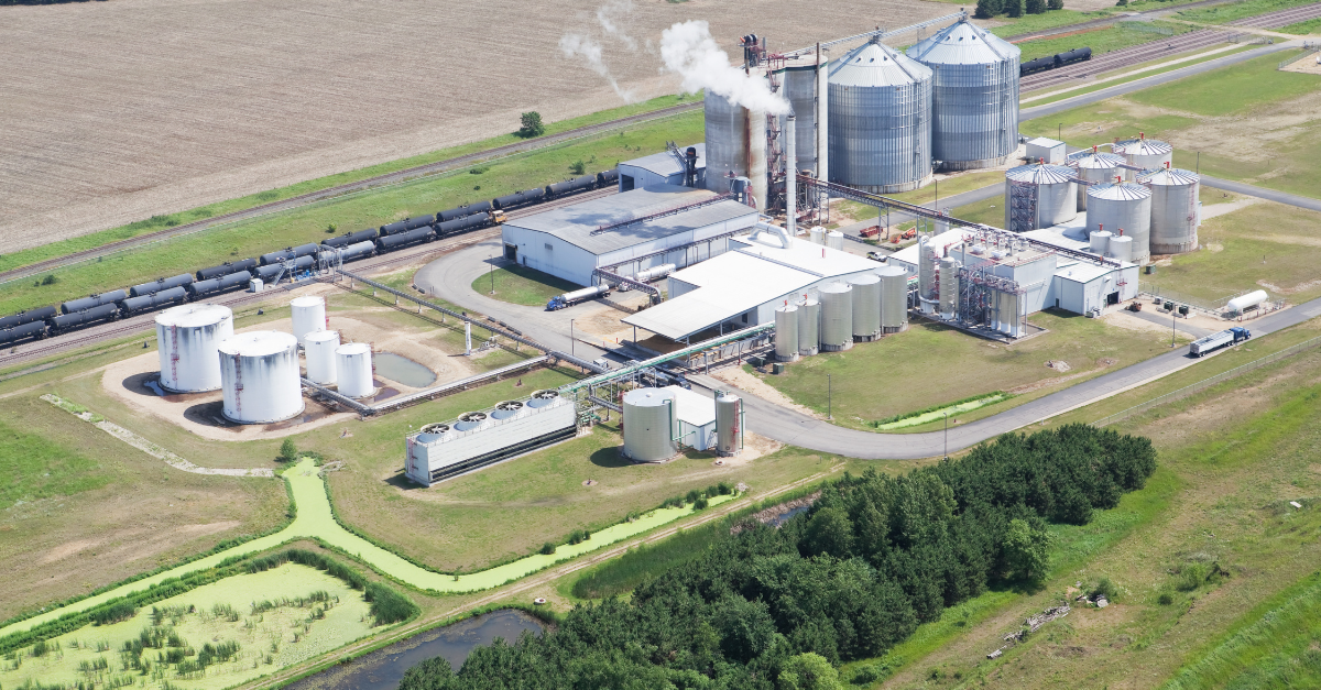 Featured image for “Bioeconomia circolare: produrre chimica sostenibile partendo dalla biomassa”
