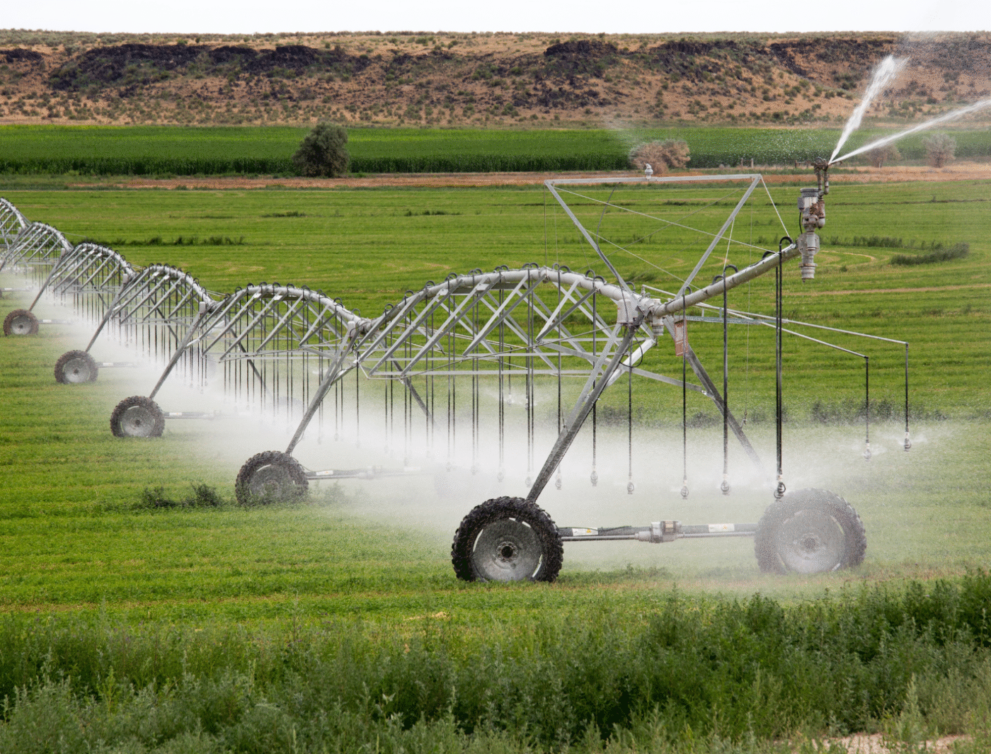 Bio-integrazione e input sostenibili