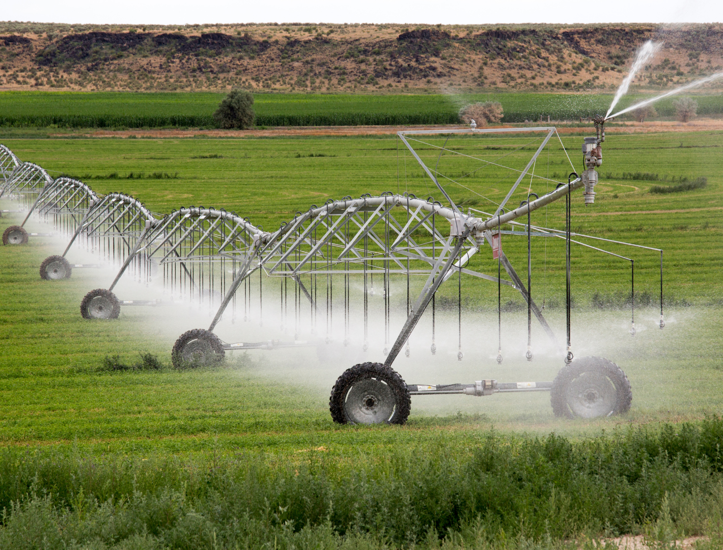Bio-integrazione e input sostenibili