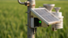 Smart contracts e assicurazioni parametriche in agricoltura: rimborsi automatici tramite blockchain
