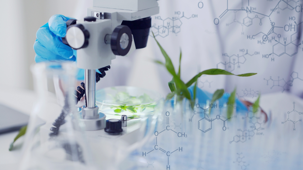 Fermentazione di precisione e scalabilità dei materiali